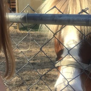 Meet your Posher, Millie